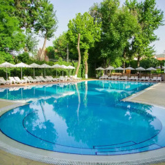 Отель Radisson Blu Hotel Tashkent Узбекистан, Ташкент - 1 отзыв об отеле, цены и фото номеров - забронировать отель Radisson Blu Hotel Tashkent онлайн бассейн