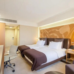 Гостиница Crowne Plaza St.Petersburg-Ligovsky (Краун Плаза Санкт-Петербург Лиговский) 4* Стандартный номер с различными типами кроватей фото 5