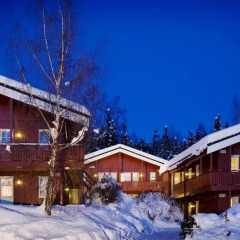 Birkebeineren Hotel & Apartments 3* Апартаменты с различными типами кроватей фото 14