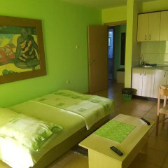 Апартаменты Apartments Kamenjar Нови Сад комната для гостей фото 2