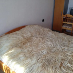 Отель Katya Guest House с домашними животными
