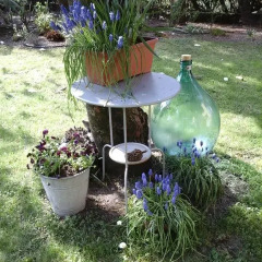 Отель Ferienhaus im Palmengarten Макканьо фото 13