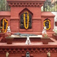 Отель Kathmandu Bed & Breakfast Inn Непал, Катманду - отзывы, цены и фото номеров - забронировать отель Kathmandu Bed & Breakfast Inn онлайн фото 8
