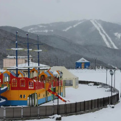 Гостиница Romanovskie Na Krasnoy Polyane в Красной Поляне отзывы, цены и фото номеров - забронировать гостиницу Romanovskie Na Krasnoy Polyane онлайн Красная Поляна детские мероприятия