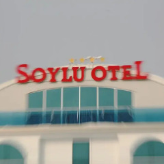 Soylu Hotel Турция, Болу - отзывы, цены и фото номеров - забронировать отель Soylu Hotel онлайн гостиничный бар
