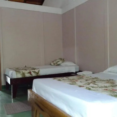 Отель Cabinas Tropicales Puerto Jimenez Ринкон спа