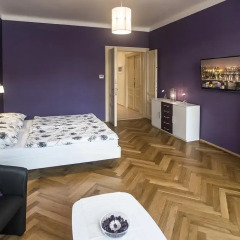 Отель Charles IV Apartments Чехия, Прага - отзывы, цены и фото номеров - забронировать отель Charles IV Apartments онлайн комната для гостей фото 4