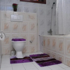 Отель Ridma Hospitality ванная