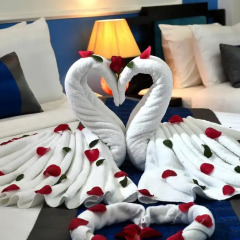 Nova Hotel детские мероприятия