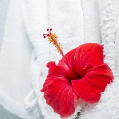 Отель Bella Santorini Studios спортивное сооружение