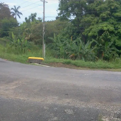 Отель Villa Paola Jamaica парковка
