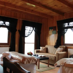 Villa de Pelit Hotel 3* Стандартный номер с различными типами кроватей фото 22