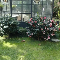 Отель Ferienhaus im Palmengarten Макканьо фото 14
