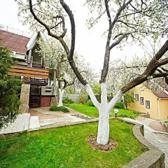 Гостиница Guesthouse Chelsea в Брянске отзывы, цены и фото номеров - забронировать гостиницу Guesthouse Chelsea онлайн Брянск фото 2