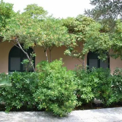 Отель Villa Archegeta Джардини Наксос фото 25