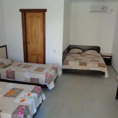Гостиница Guest house Vitol в Анапе отзывы, цены и фото номеров - забронировать гостиницу Guest house Vitol онлайн Анапа комната для гостей фото 2