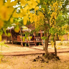 Отель Camp Leopard - Yala Safari Glamping фото 10