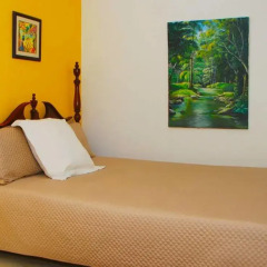 Отель Mango Tree Peaceful Pension Номер Делюкс с различными типами кроватей