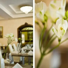 Отель Garden Luxury Residence Латвия, Рига - отзывы, цены и фото номеров - забронировать отель Garden Luxury Residence онлайн спа фото 2
