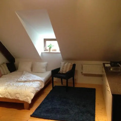 Апартаменты Metropolis Prague Apartments-zlaty Dvur Прага комната для гостей фото 2