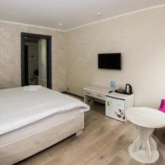 Aster Hotel Group 3* Стандартный номер с различными типами кроватей фото 8