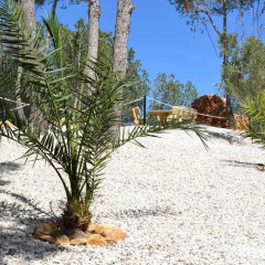Hotel Finca Fabiola пляж