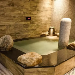 Отель Dormy Inn SEOUL Gangnam спа