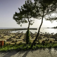 Rubi Platinum Spa Resort & Suites - Всё включено Турция, Аланья - отзывы, цены и фото номеров - забронировать отель Rubi Platinum Spa Resort & Suites - Всё включено онлайн приотельная территория