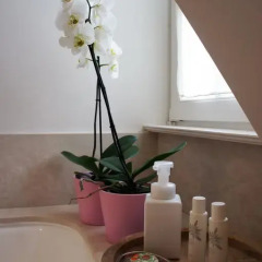 Отель Guest house La Maison Chantecler 2* Стандартный номер с различными типами кроватей фото 14