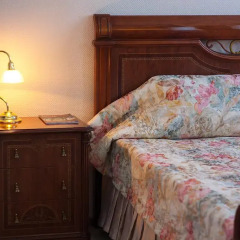 Astoria Hotel 3* Стандартный номер фото 2