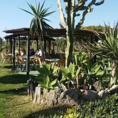 Отель Hostal Restaurante La Ilusion Испания, Вехер-де-ла-Фронтера - отзывы, цены и фото номеров - забронировать отель Hostal Restaurante La Ilusion онлайн фото 8