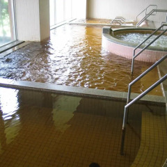 Отель Japanese Auberge Plaza Ryokufu Natural Hot Spring бассейн