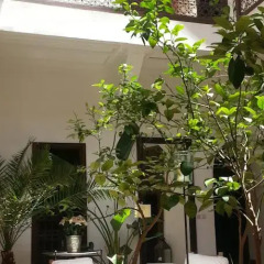 Отель Riad Azza Марокко, Марракеш - отзывы, цены и фото номеров - забронировать отель Riad Azza онлайн фото 3