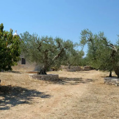 Отель Trulli Barsento Альберобелло парковка