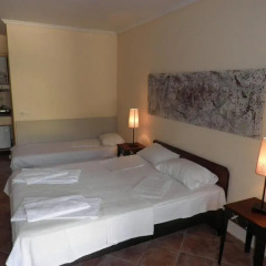 Ammon Garden Hotel комната для гостей фото 5