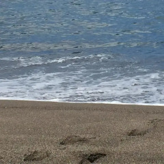 Отель Casa Da Praia пляж