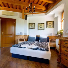 Отель Dream Homes Private Villa Венгрия, Будапешт - отзывы, цены и фото номеров - забронировать отель Dream Homes Private Villa онлайн комната для гостей фото 3