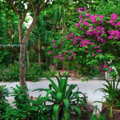 Отель Thinh Phuc Homestay