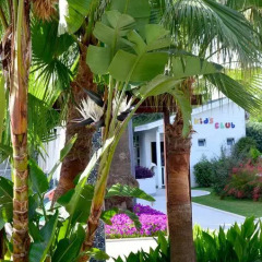 Side Resort Hotel фото 8