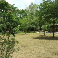 Отель Lumbini Buddha Garden Resort Непал, Лумбини - отзывы, цены и фото номеров - забронировать отель Lumbini Buddha Garden Resort онлайн фото 6