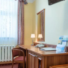 Spa Hotel Vltava 3* Номер Комфорт с различными типами кроватей фото 4