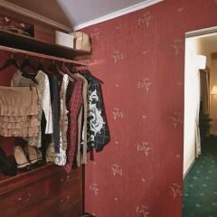 Napoleon Hotel 4* Улучшенный номер с различными типами кроватей фото 17