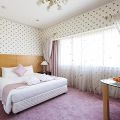 Hotel Francs комната для гостей фото 7
