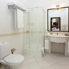 Grand Tien Shan Hotel 4* Стандартный номер с различными типами кроватей фото 2
