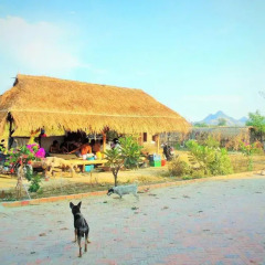 Отель INRA Champa Homestay Кровать в общем номере с двухъярусной кроватью фото 6