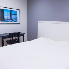 Hostel Snoozemore комната для гостей