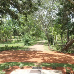 Отель Cadjan Sacred Anuradhapura спортивное сооружение