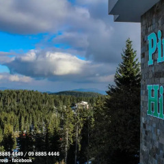 Отель Aparthotel Pine Hills Pamporovo Пампорово городской автобус