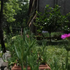 Отель Restaurant Dreri Албания, Тирана - отзывы, цены и фото номеров - забронировать отель Restaurant Dreri онлайн фото 20