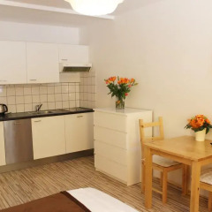 Отель Vienna Westend City Apartment Австрия, Вена - отзывы, цены и фото номеров - забронировать отель Vienna Westend City Apartment онлайн в номере фото 2